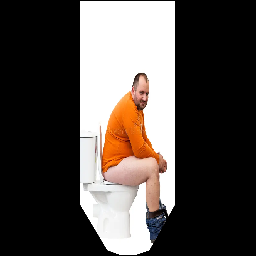 Edlim's Quite Excellent Banners - Toilet Man