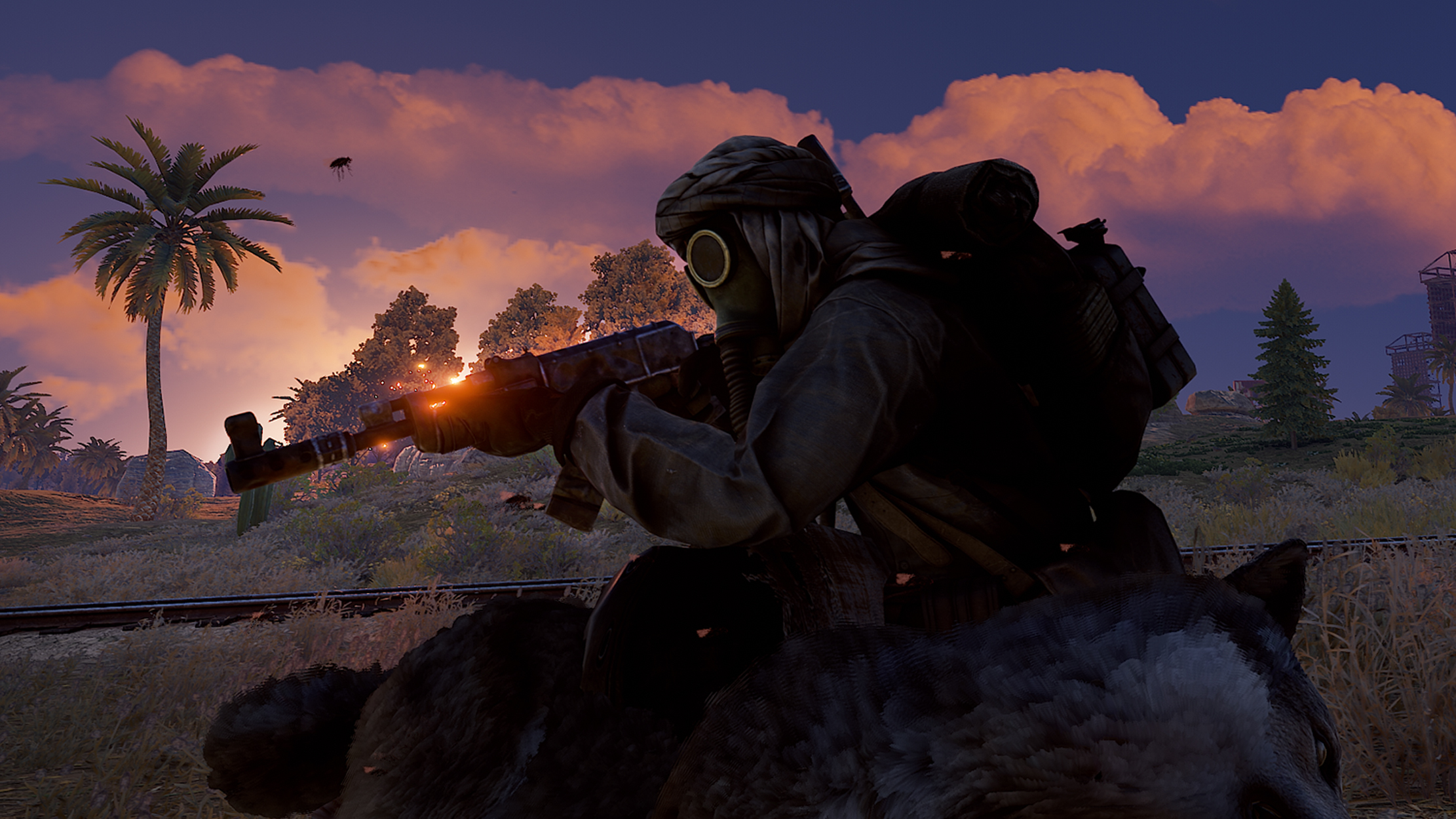 Apocalypse Nomad AR