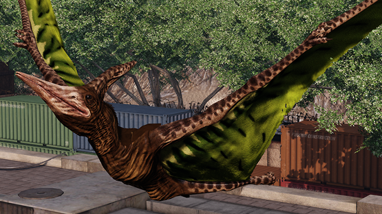 Kiwi Ptera