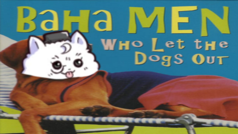 Who Let the Dogs Out for Pomeranius's theme