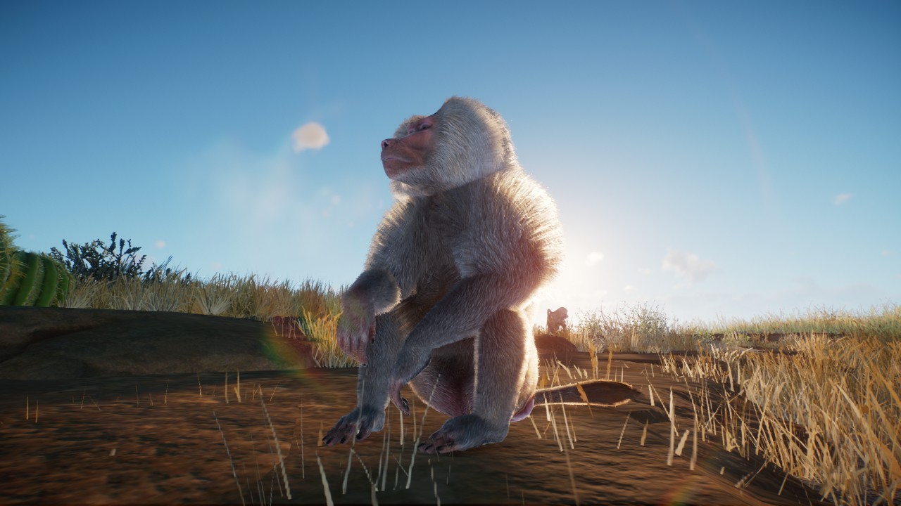 hamadrayas baboon diorama preview