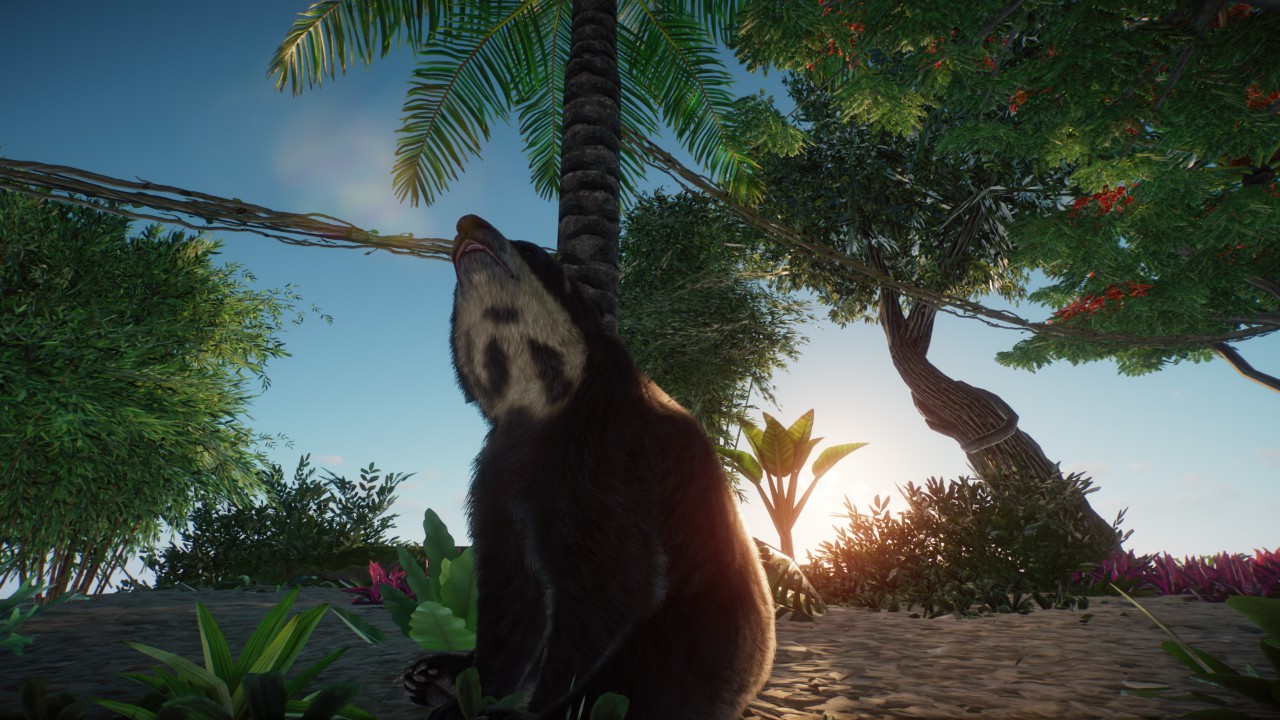 spectacled bear preview