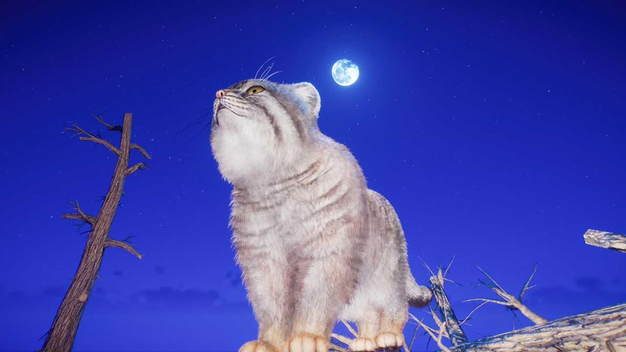 pallas's cat diorama preview