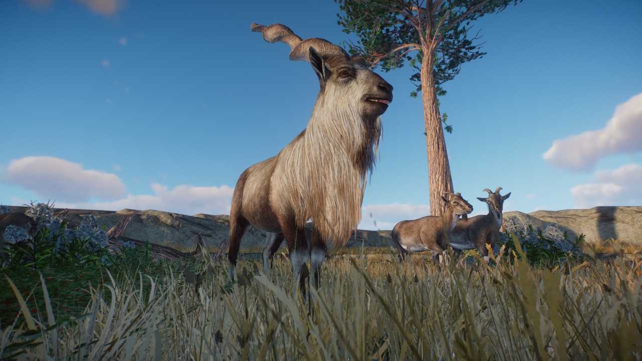 markhor diorama preview
