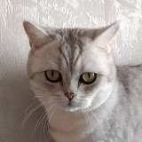 Hello2