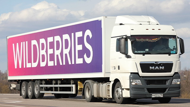 Combo Skin Wildberries