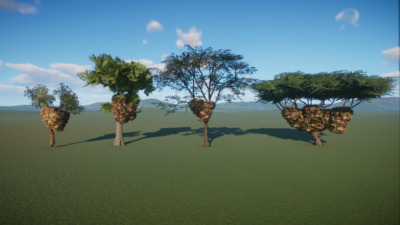 Sociable Weaver Nests