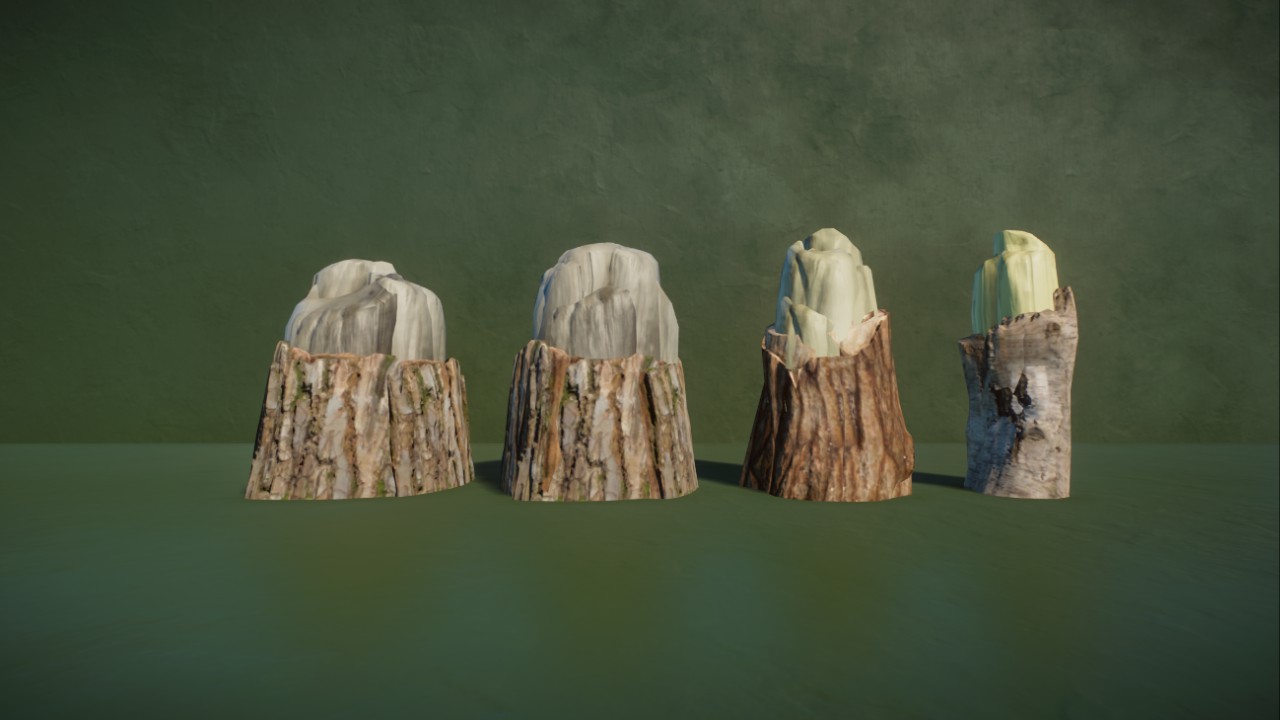Beaver Chewed Tree Stumps