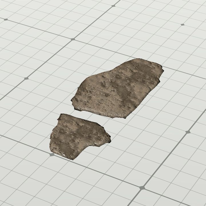 Mud footprints (single, non-rotating)