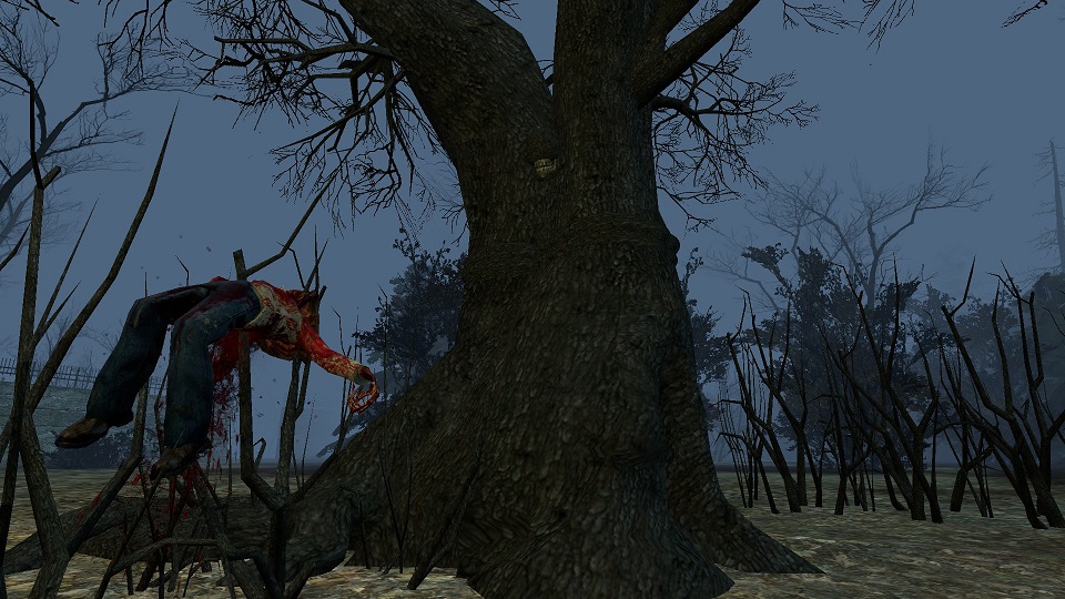 THORN WOOD