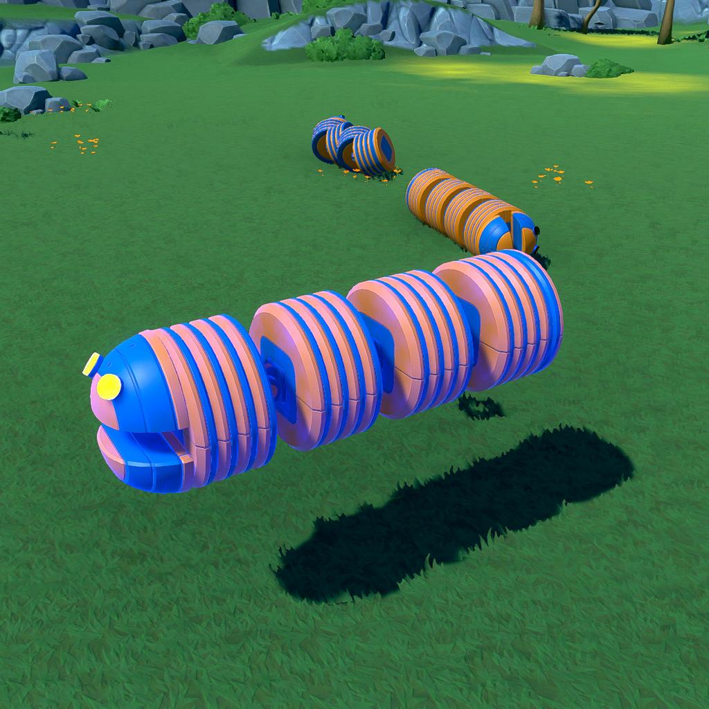 WORM