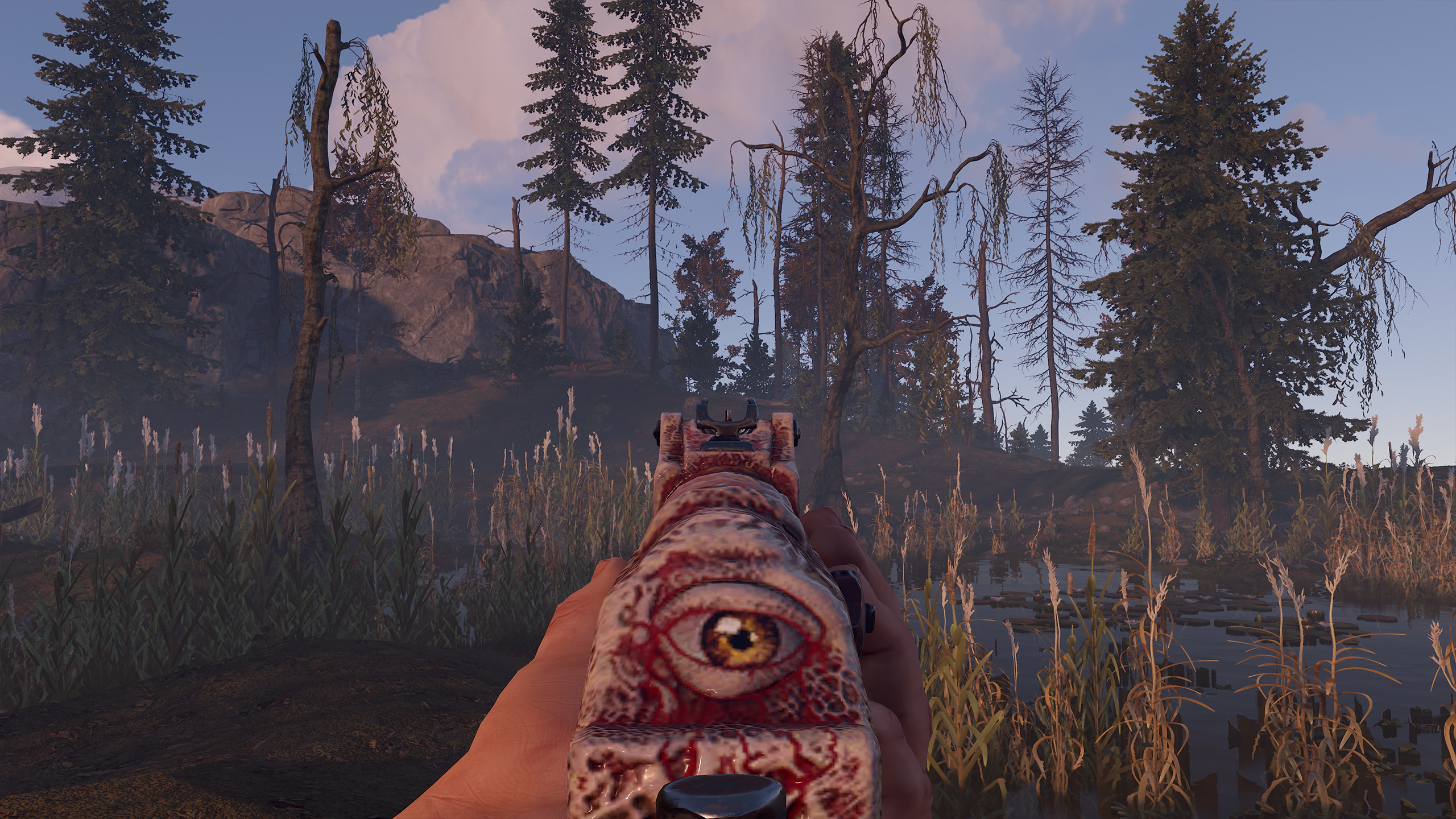 Gore AR