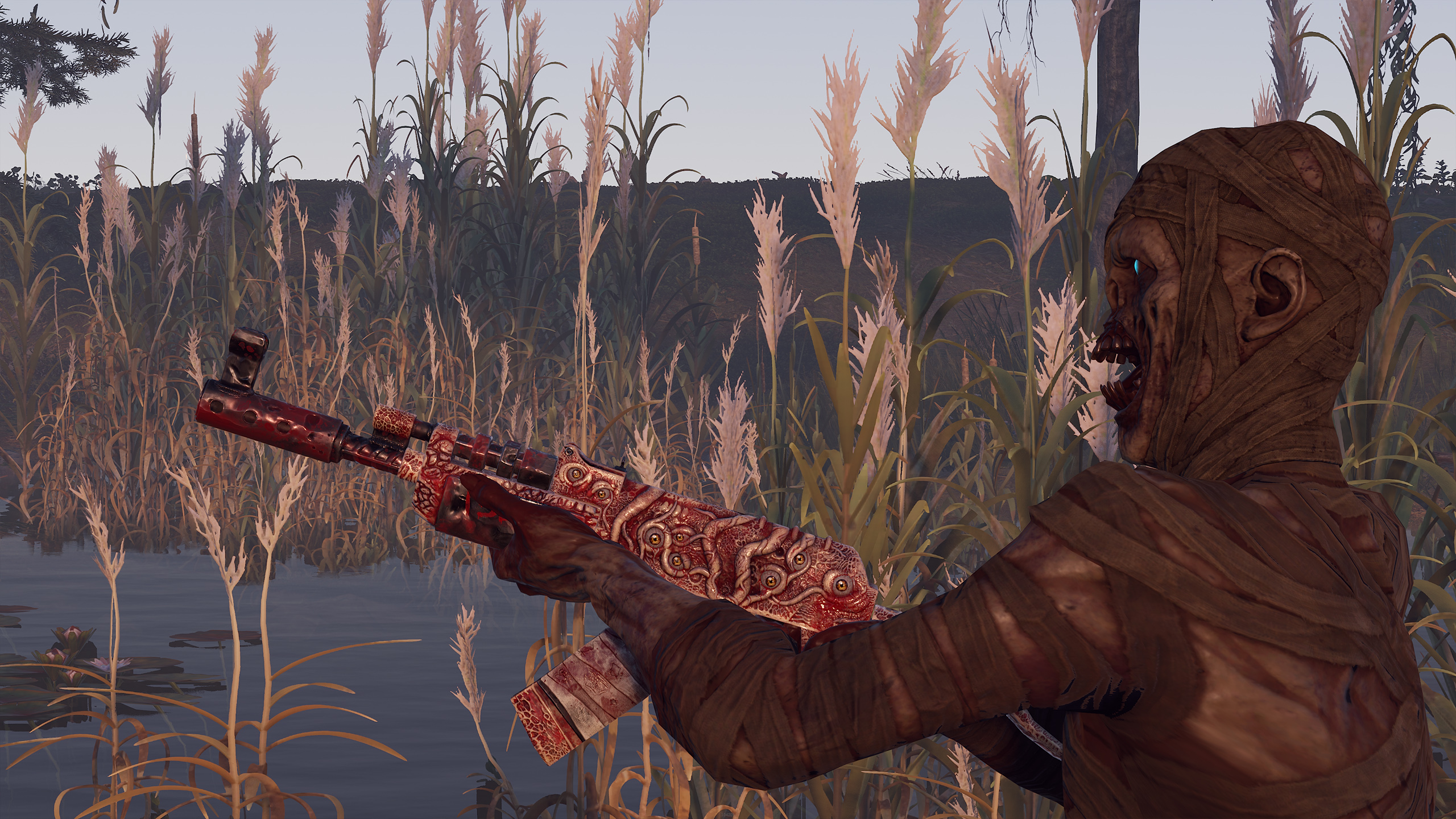 Gore AR