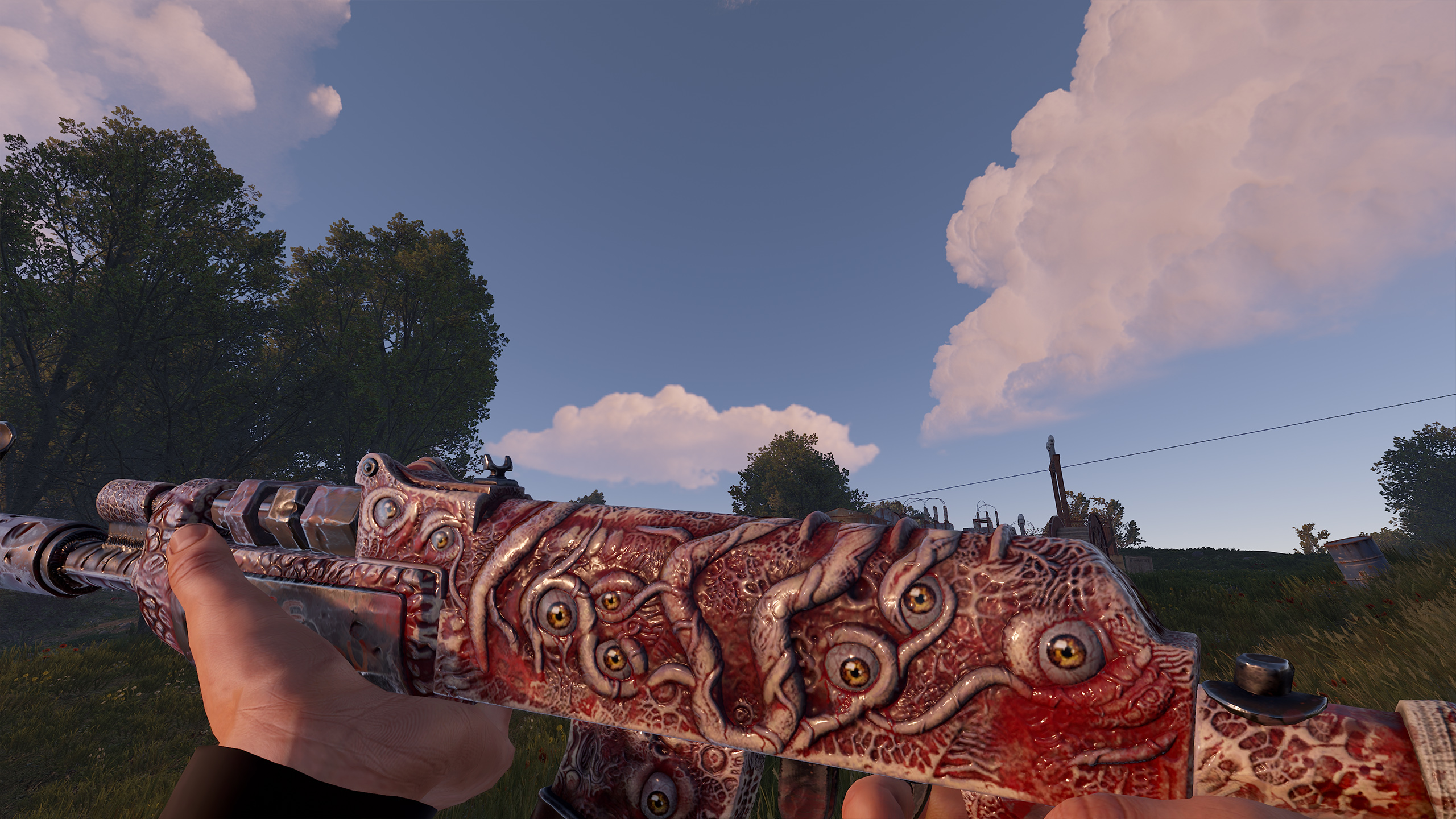 Gore AR