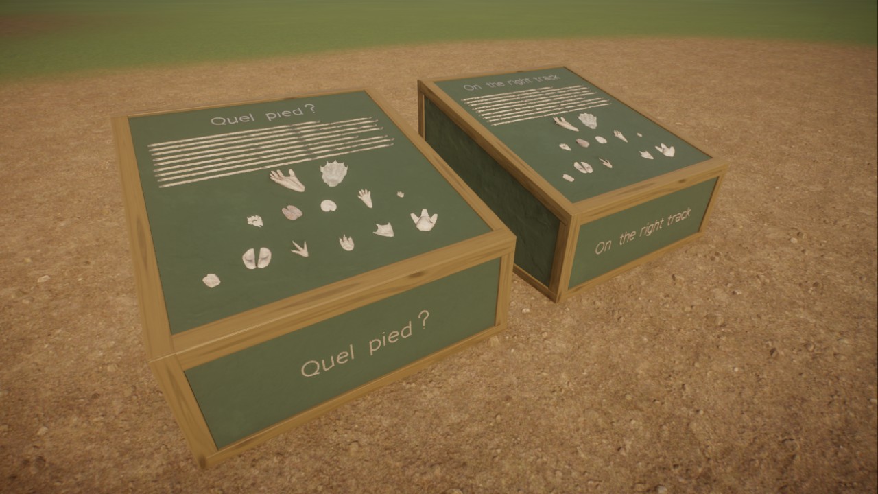 Education station paw print