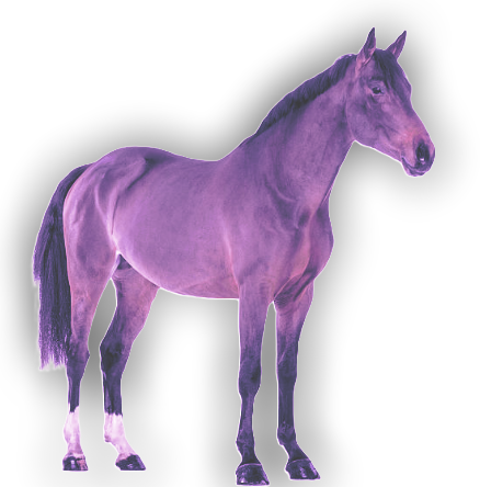 Realistic Horse Zenith