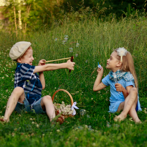 GREEN MEADOW -FOR BEGINNER-