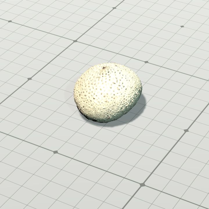 lycoperdon_perlatum