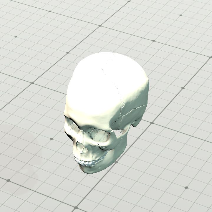 visible_interactive_human