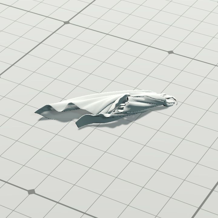 Cloth - discarded 1