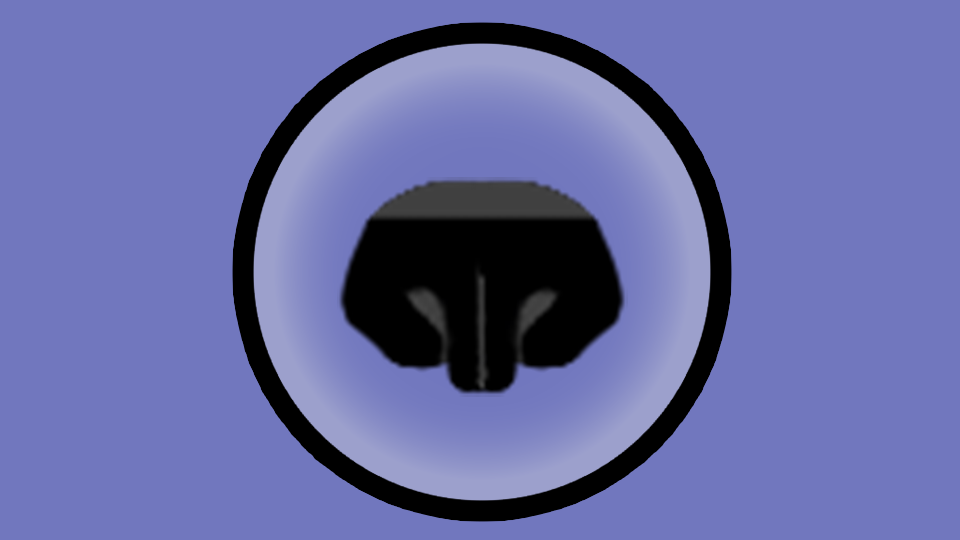 Nose Sponge Plus+ Updated