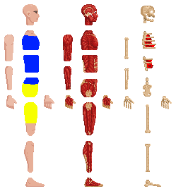 another human with organs modpack