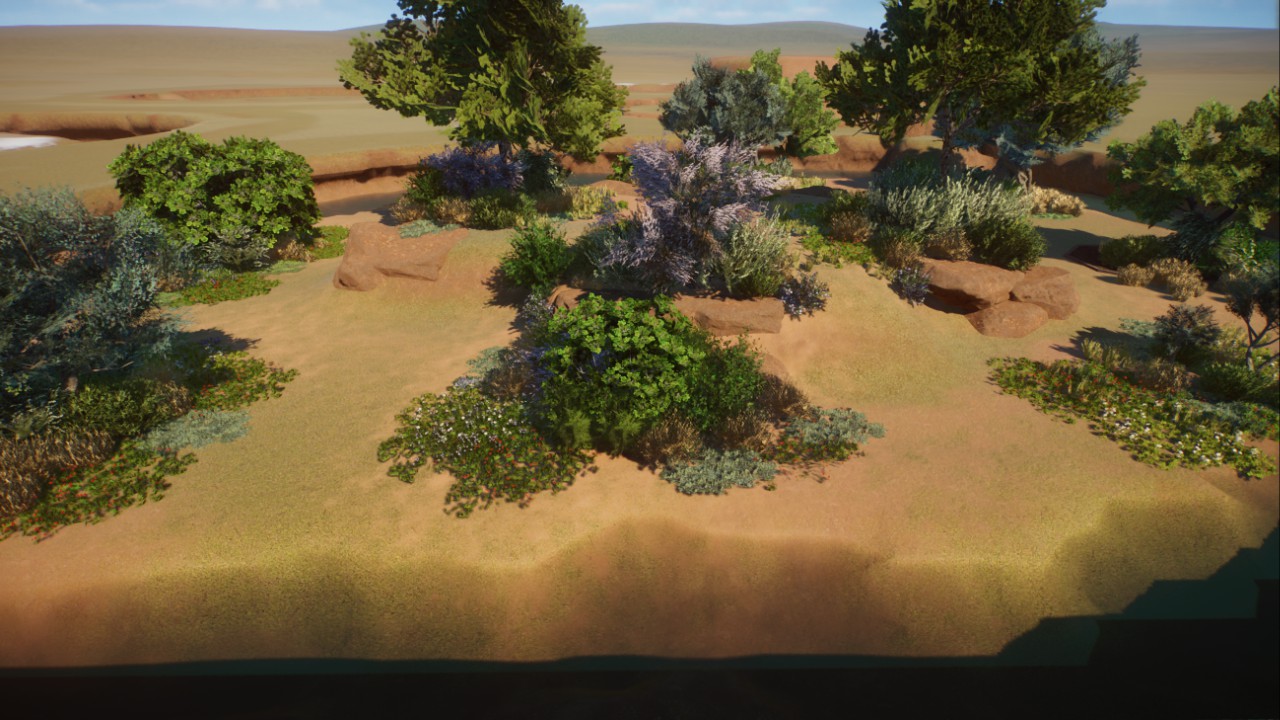 Mediterrean habitat