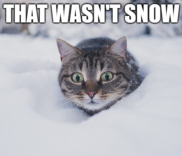 Snow is Yayo
