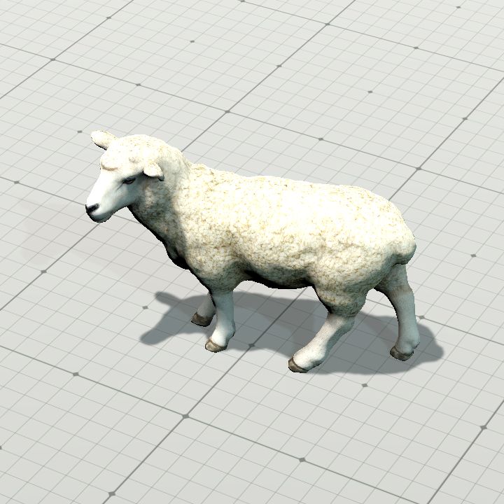 Sheep