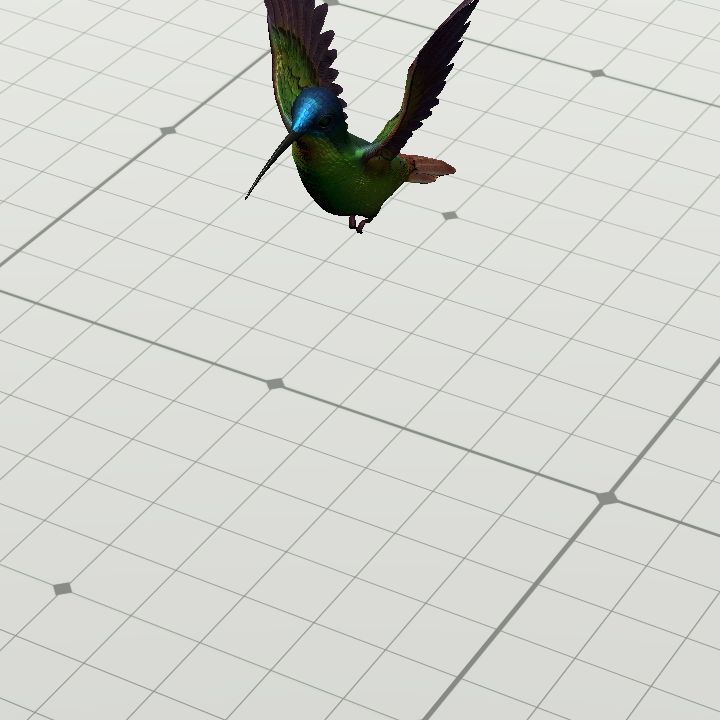 Bird, Hummingbird {Multi-Animated}