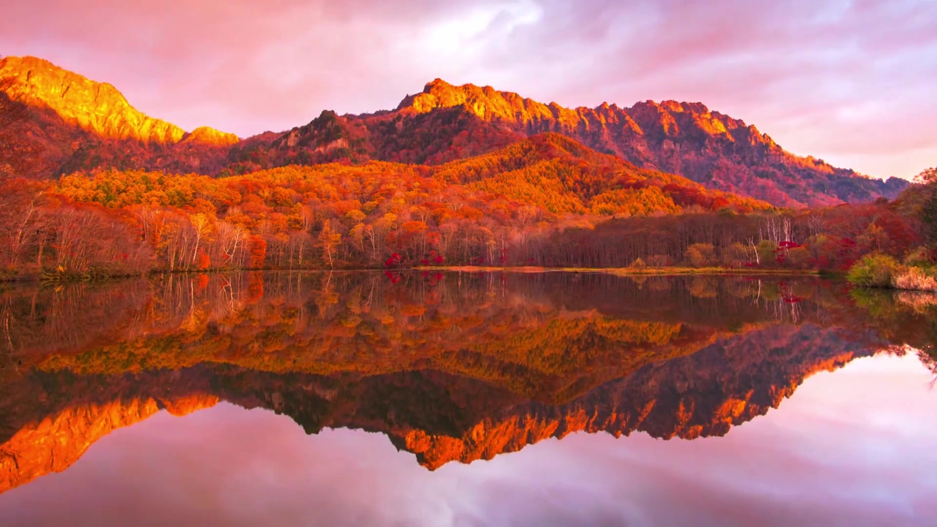 8K HDR 60FPS (Ultra HD) Unbelievable Beauty