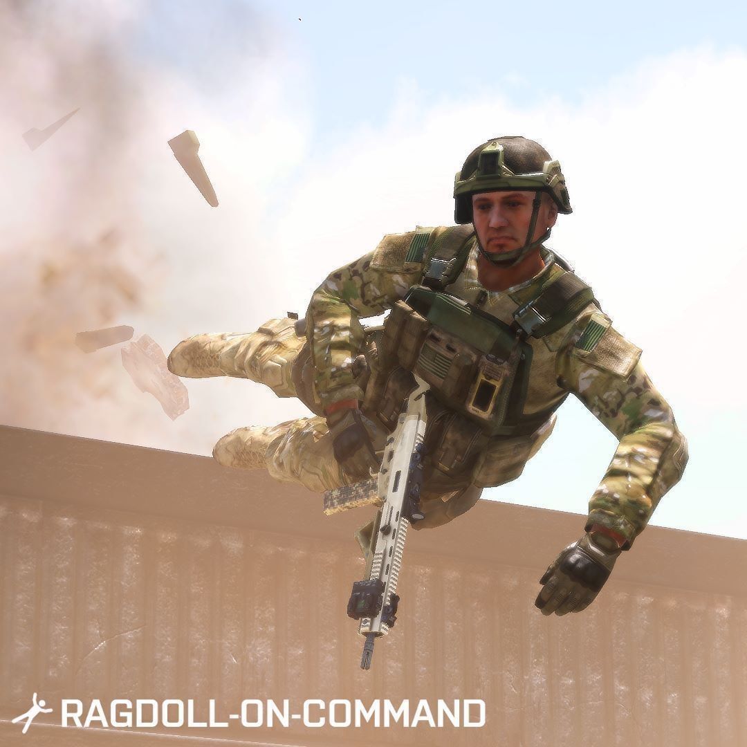 Ragdoll-on-Command Resigned
