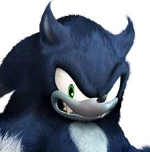 Sonic The Werehog InfectionHUD Portrait - Ellis
