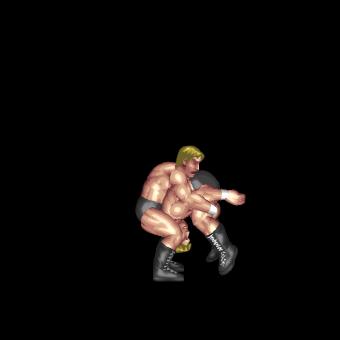 Package Neckbreaker to Knee