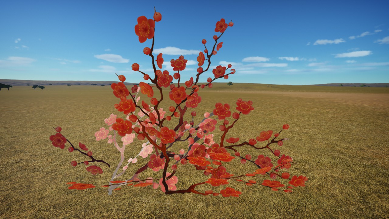 Plum Blossoms New