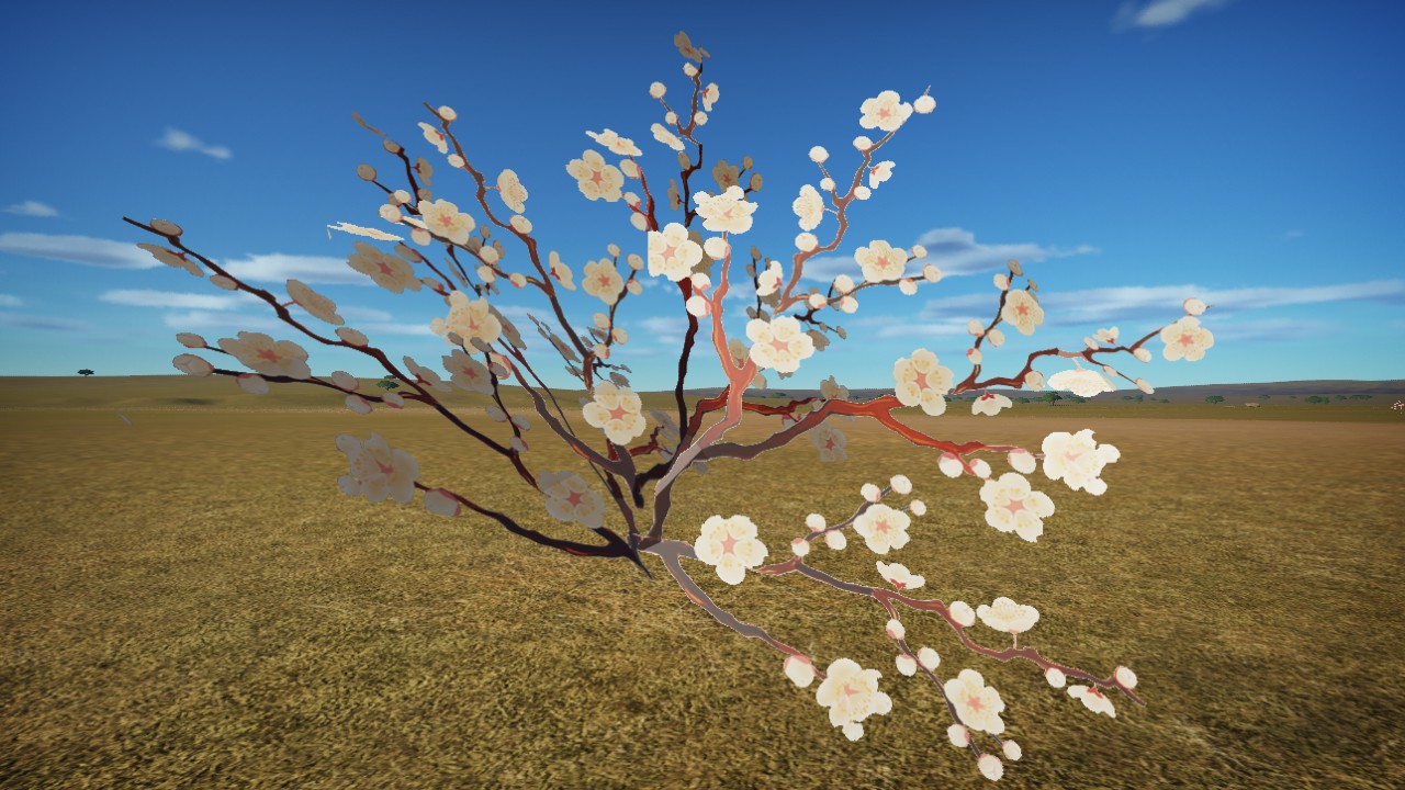 Plum Blossoms White New
