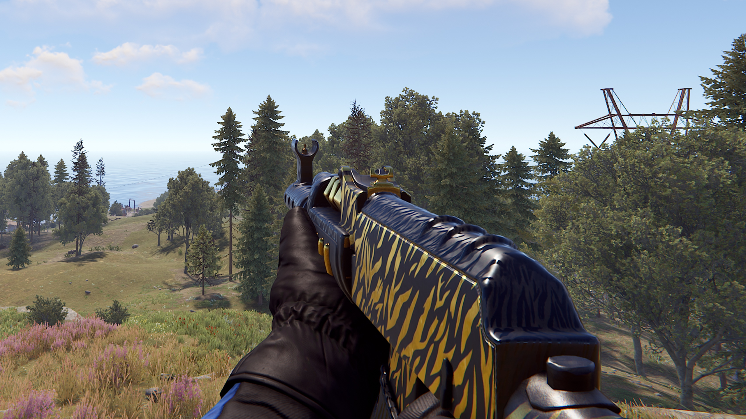 Royal Safari AR