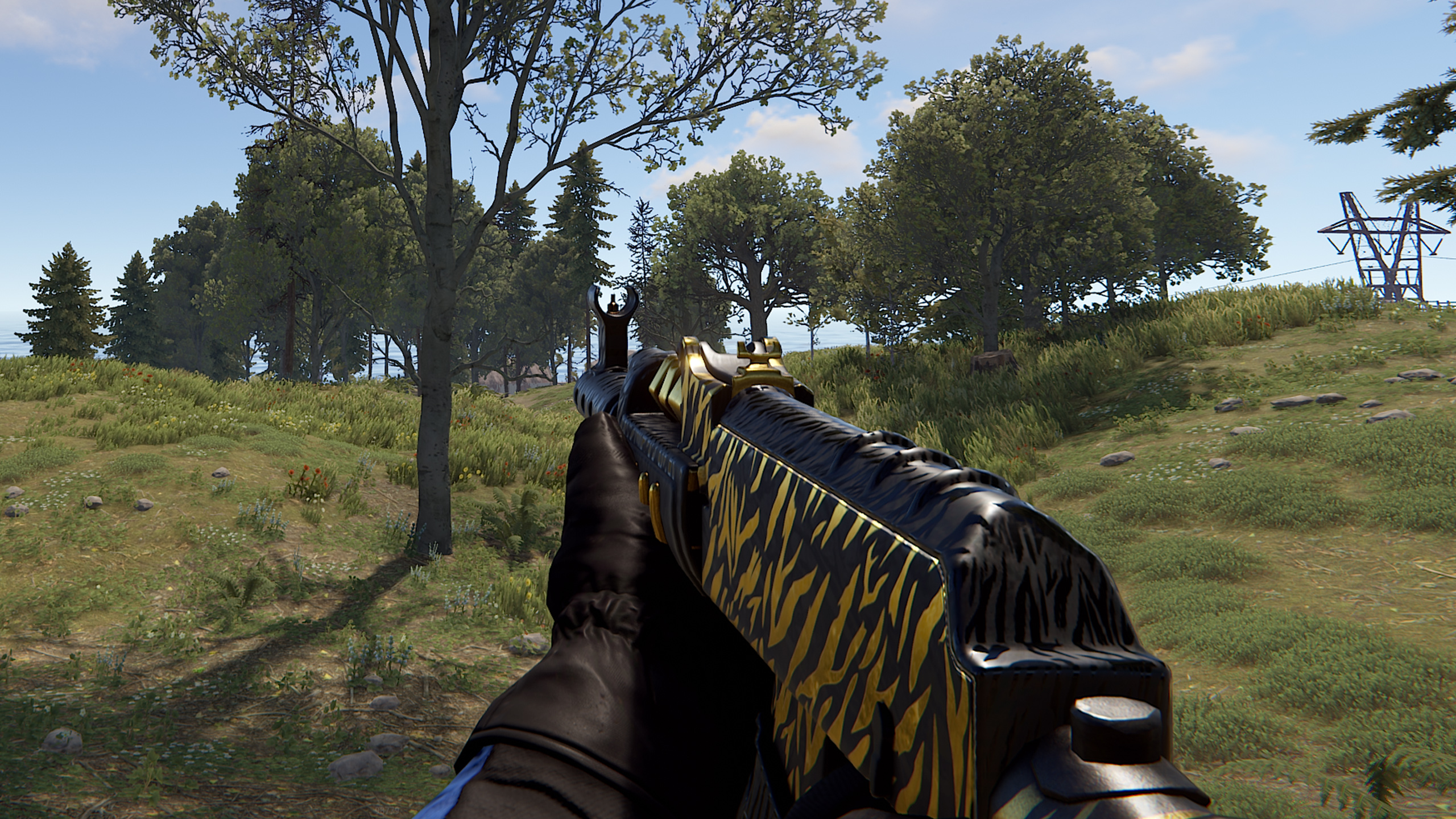 Royal Safari AR