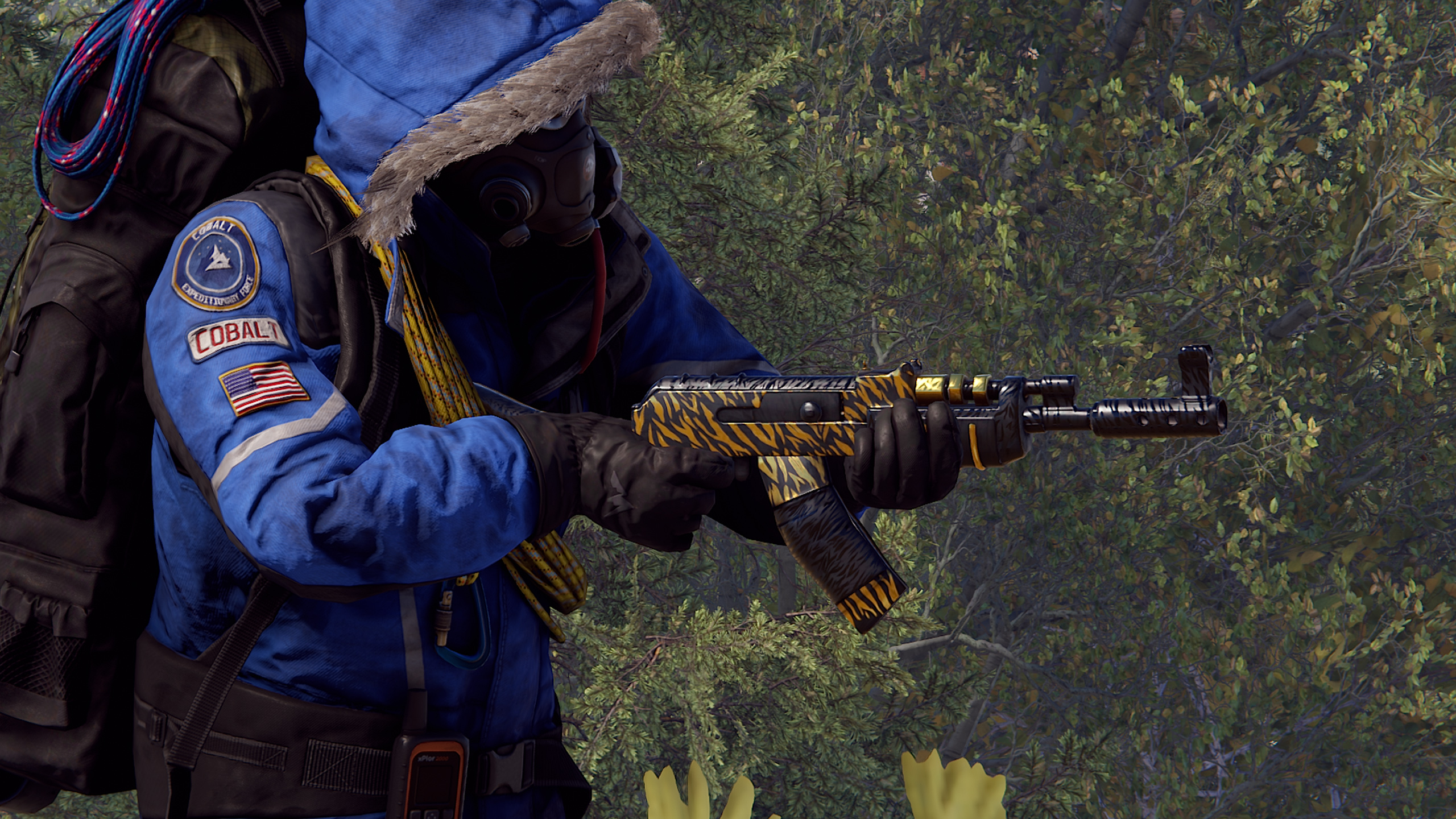 Royal Safari AR