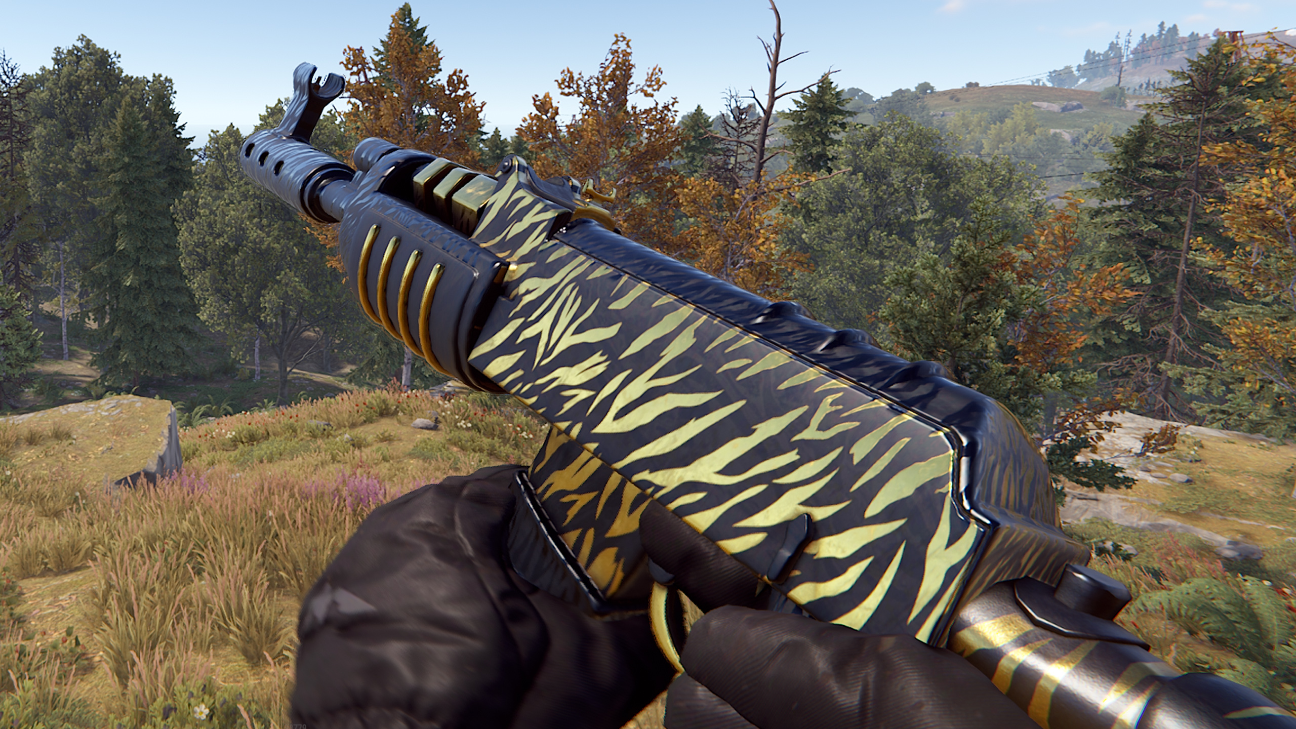 Royal Safari AR
