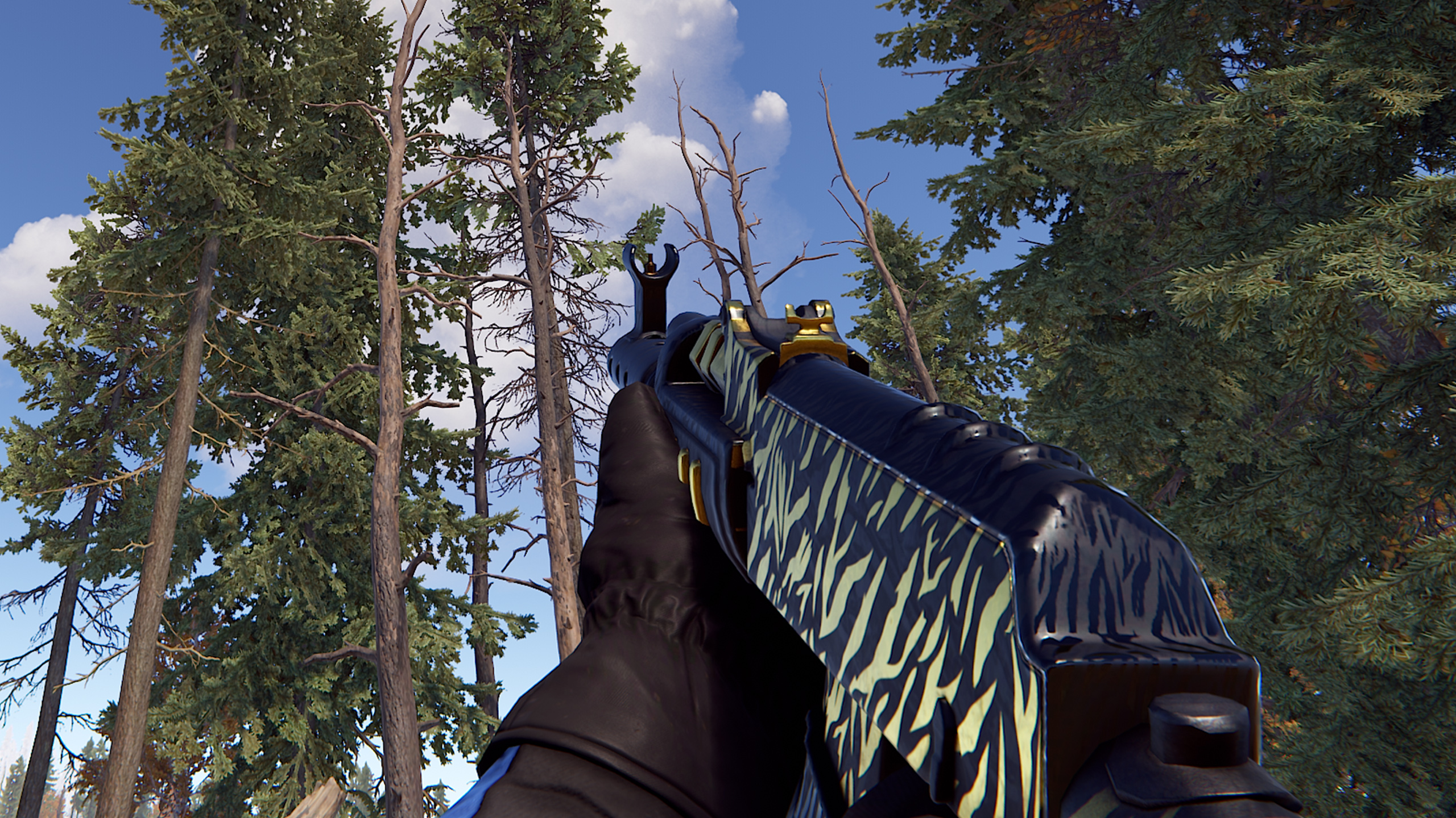 Royal Safari AR