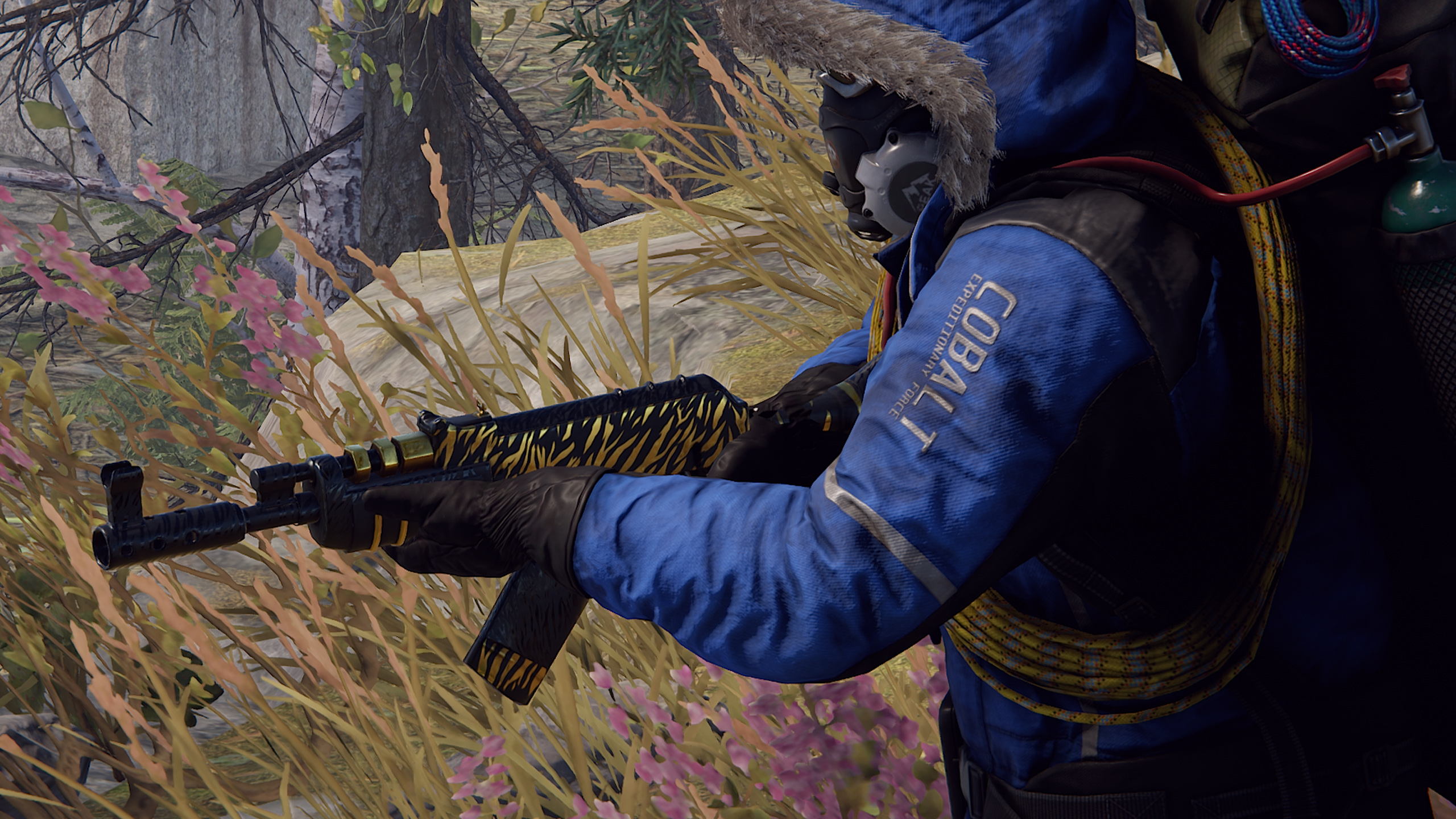 Royal Safari AR