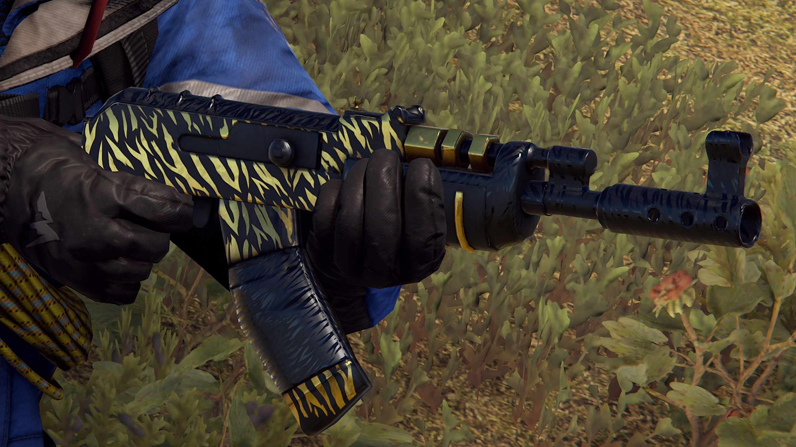 Royal Safari AR