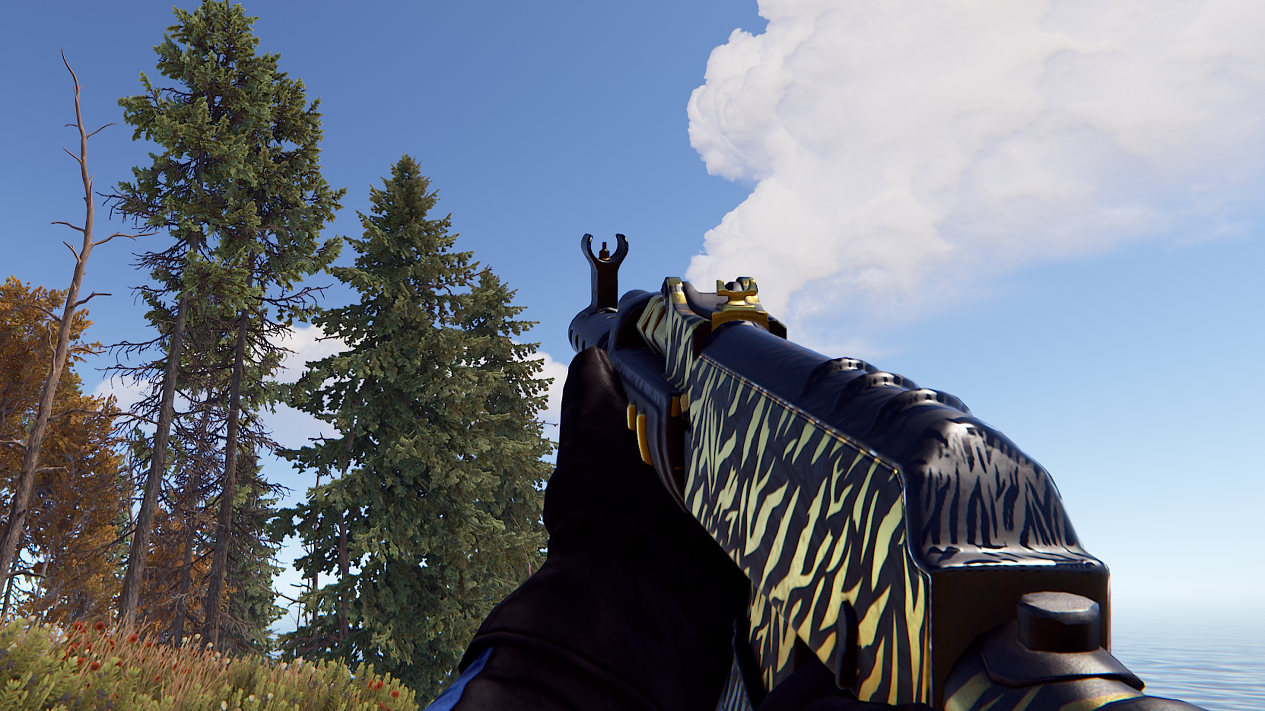 Royal Safari AR