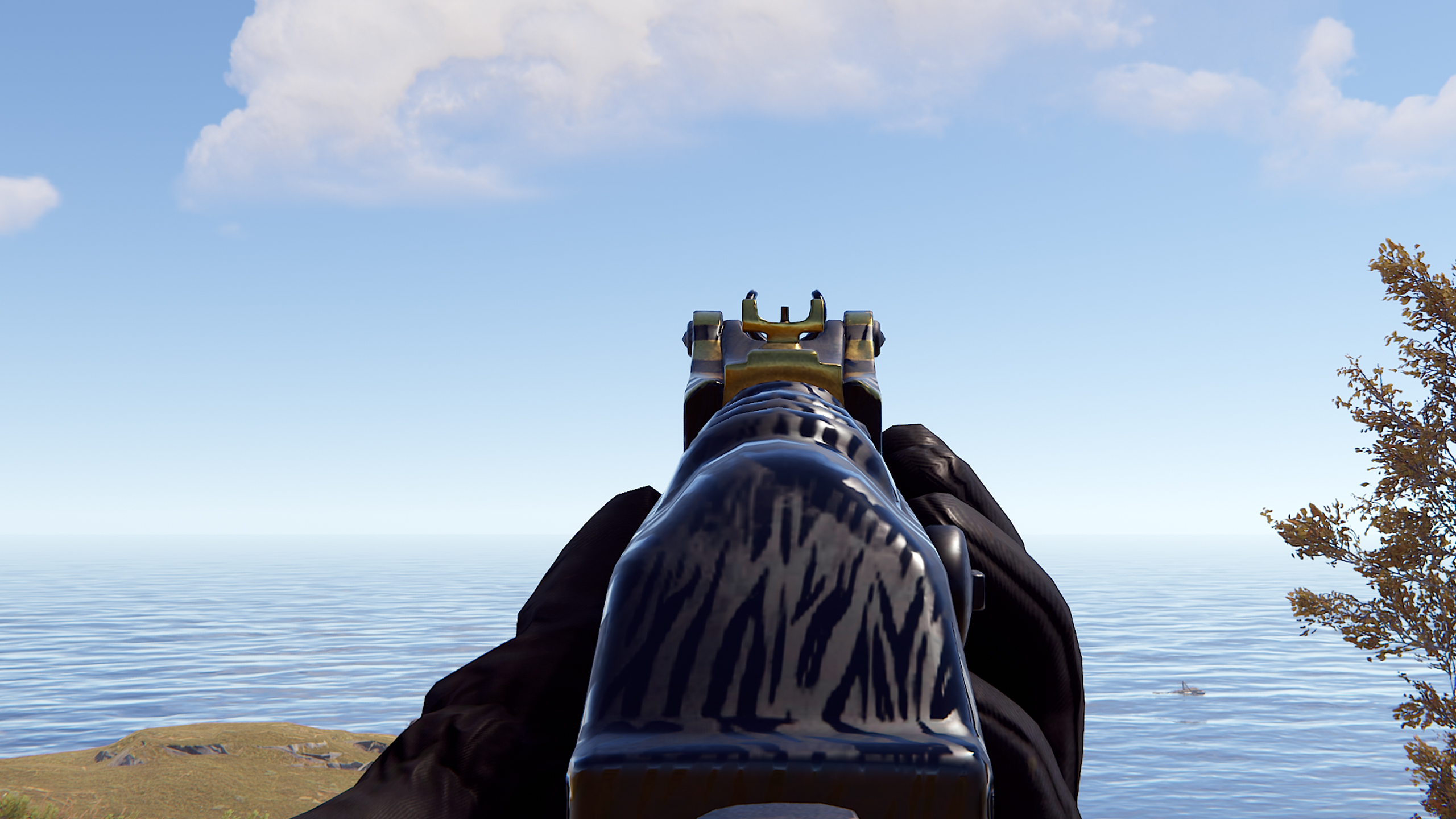Royal Safari AR