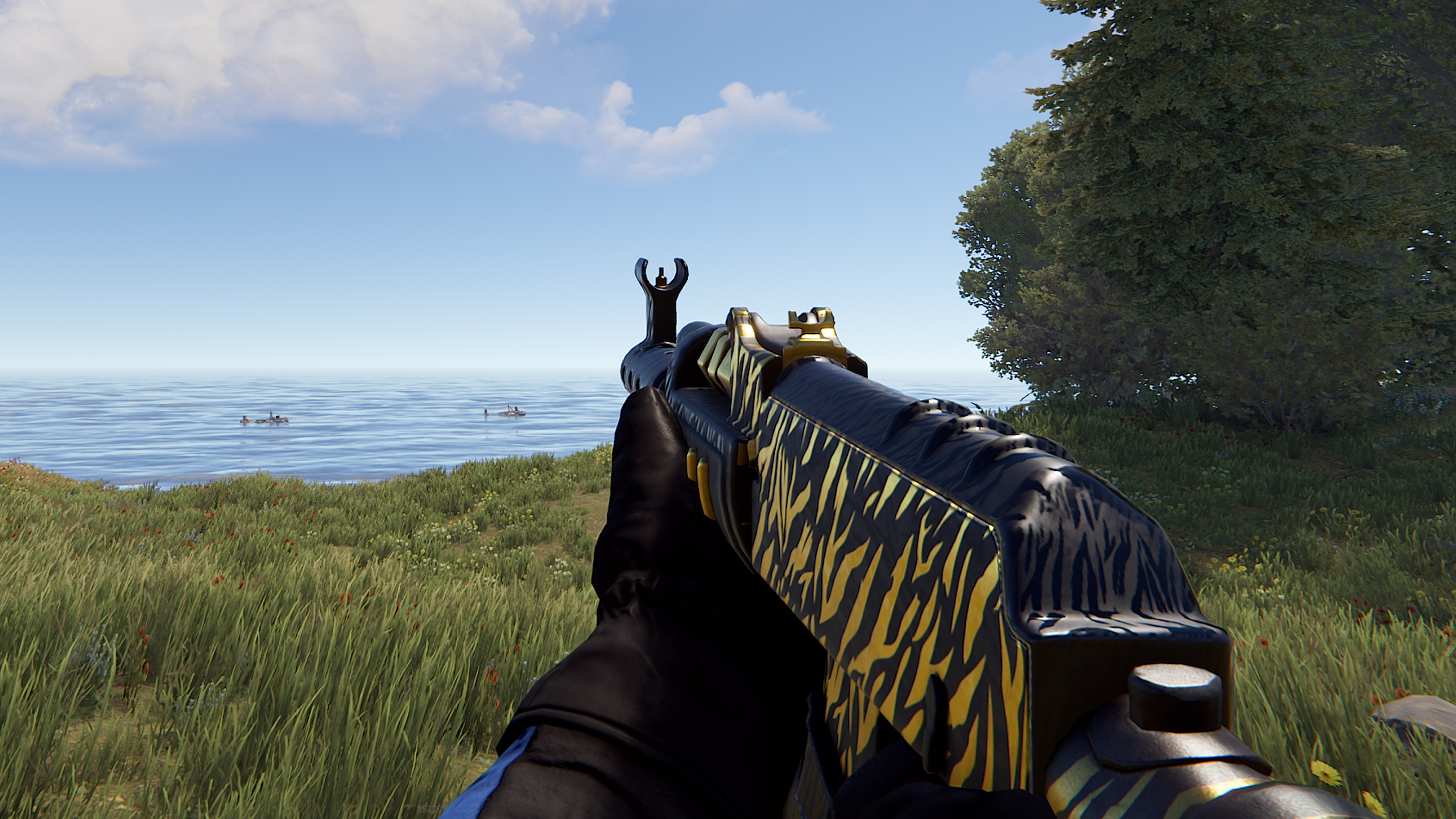 Royal Safari AR