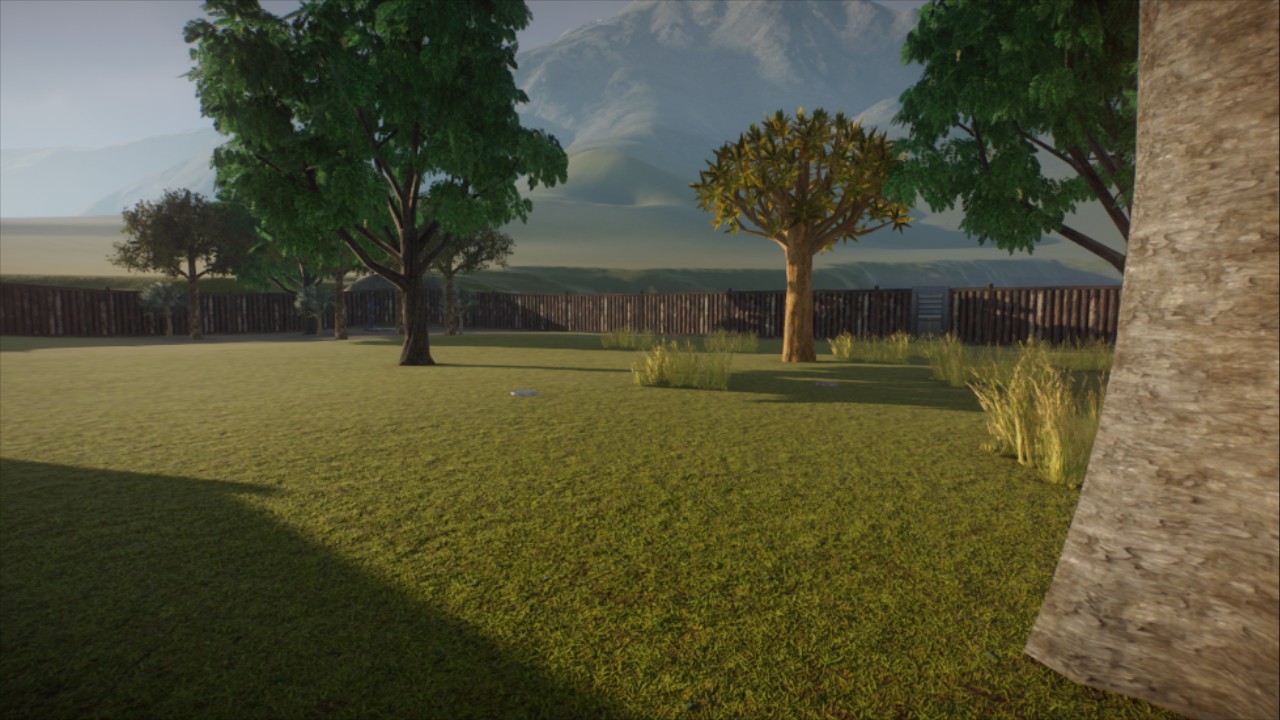 African Wild Dog Enclosure preview