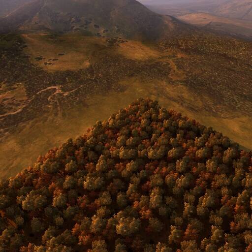 szczeninum lasum bakrumis starowasrówka forest labiryt ohio