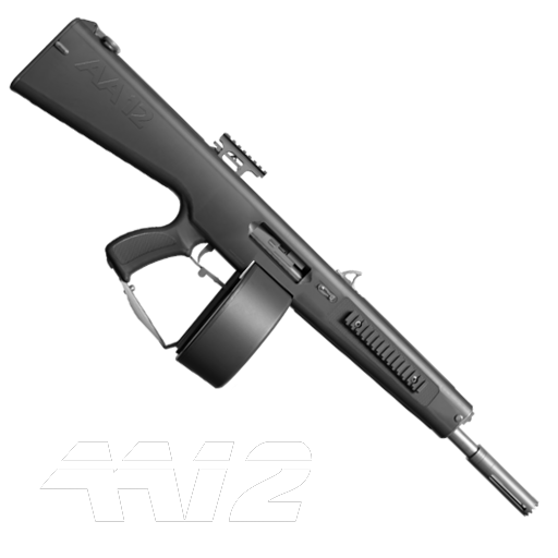 AA12
