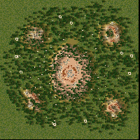 Bear kingdom